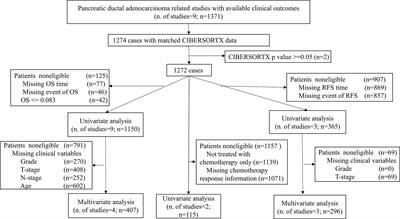 Relevance of Immune Infiltration and Clinical Outcomes in Pancreatic Ductal Adenocarcinoma Subtypes